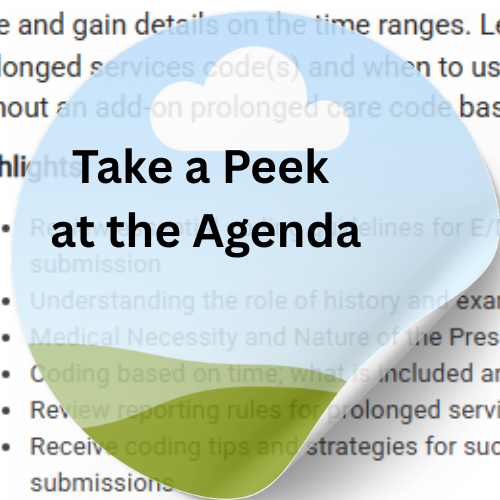 Take a Peek at the Agenda